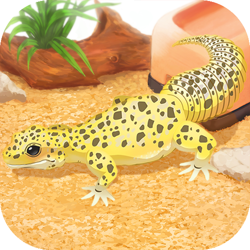 Leopard Gecko Pet