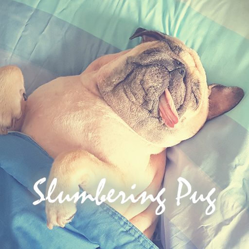 Slumbering Pug Theme +HOME