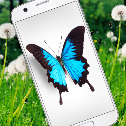 Бабочка в Телефоне милая шутка - iButterfly