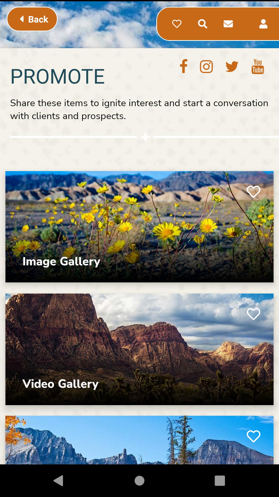 gallery