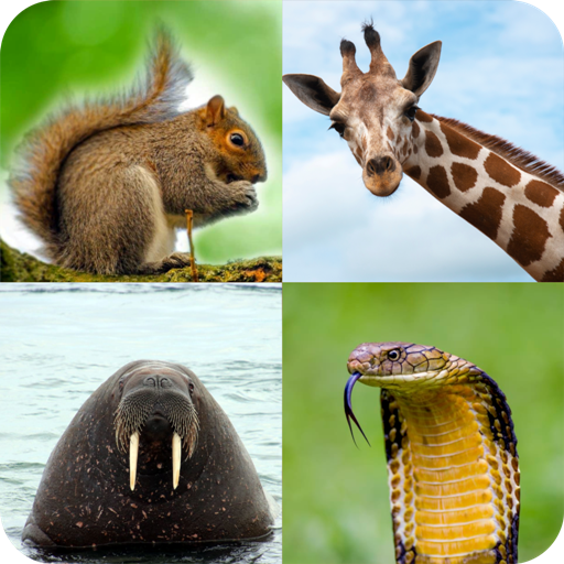 Animal Quiz: Adivinhe o animal