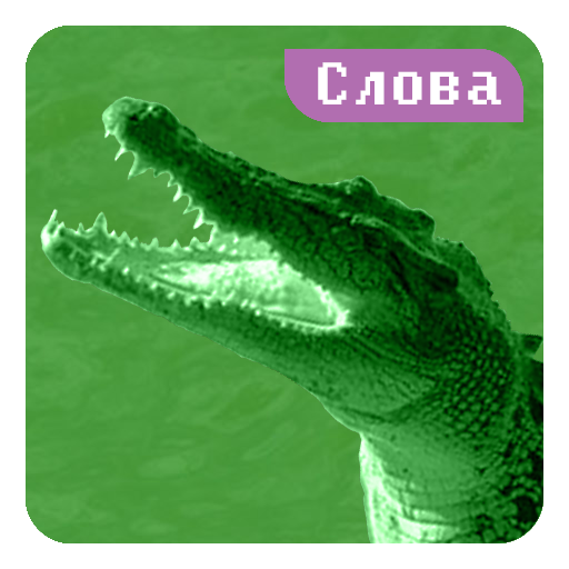 Крокодил