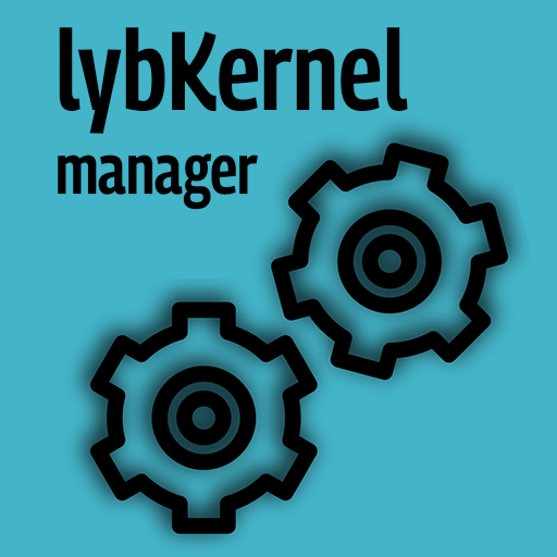 lyb Kernel Manager