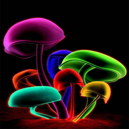 Cute Mushroom Wallpaper