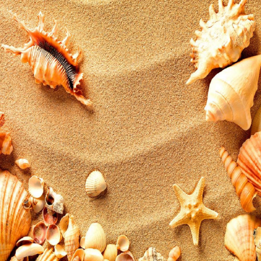 Sea Shells Live Wallpaper