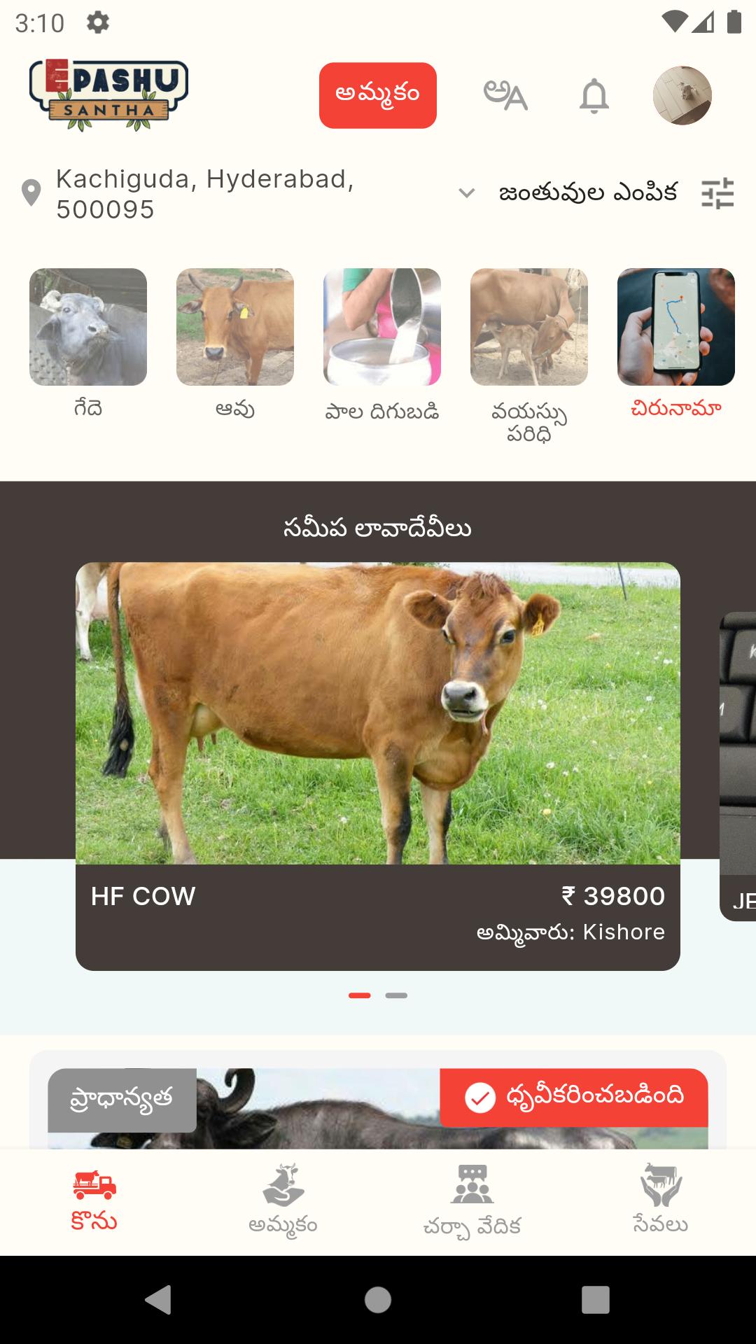 gallery