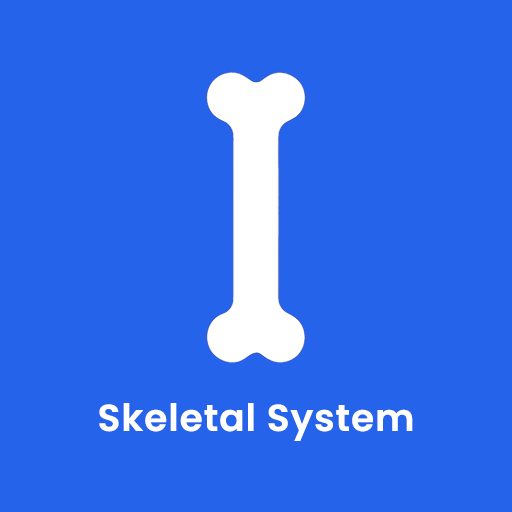 Skeletal System