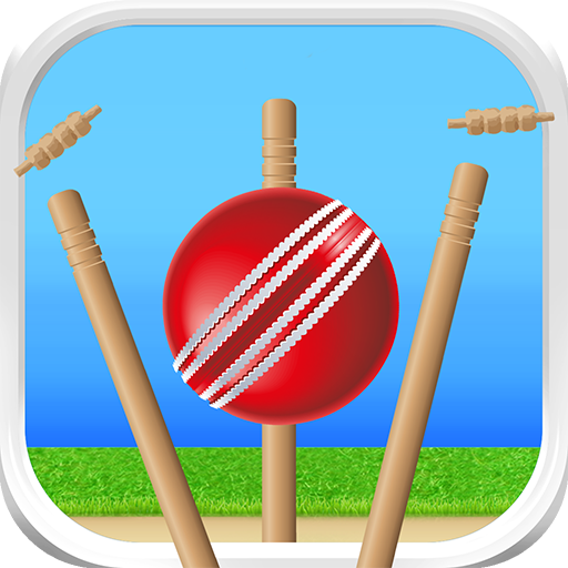 Cricket - Defend the Wicket