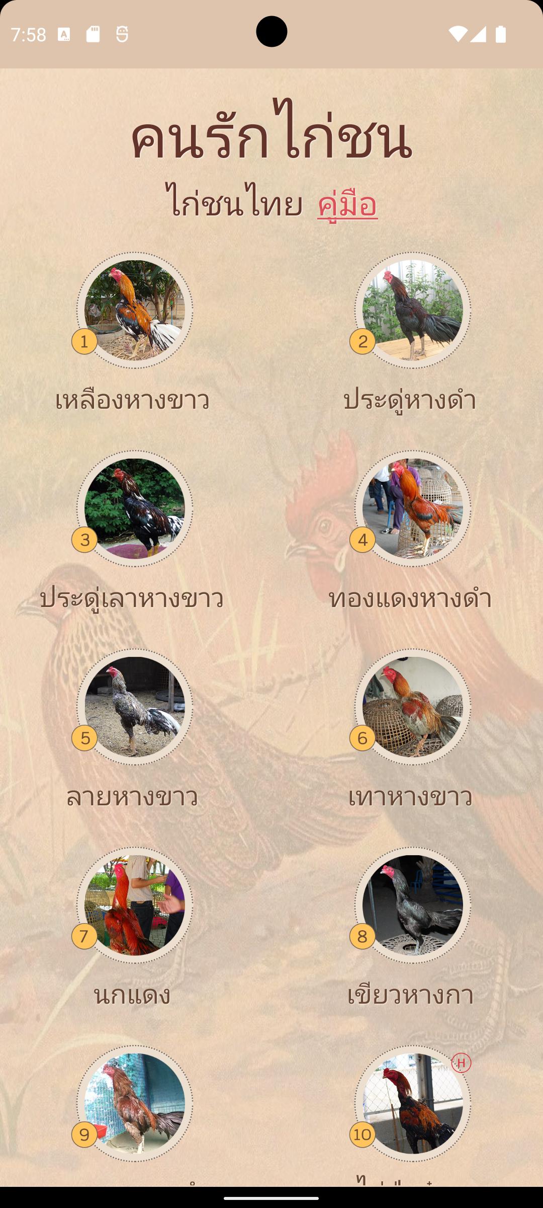 gallery