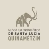 Quinametzin AR