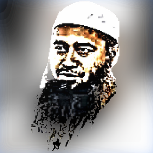 mojaffor bin mohsin book
