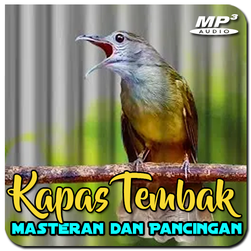 Masteran Kapas Tembak Mewah