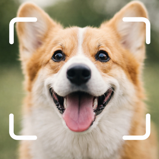 Dog Breed Scanner Dog Breed ID