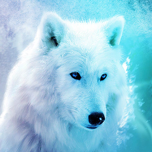 Ice Wolf Live Wallpaper HD