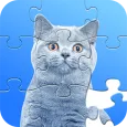 Jigsaw Puzzles -  Puzzle & Pic
