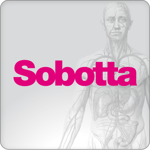 Sobotta