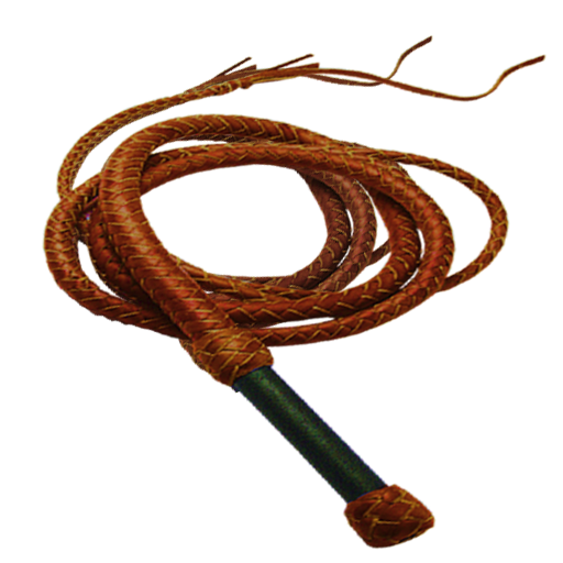 Whip Sound