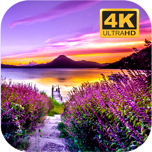 Природа Обои Ultra HD 4K