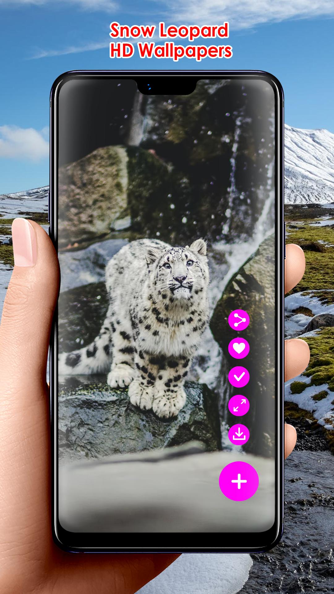 تنزيل Snow Leopard HD Wallpapers على جهاز الكمبيوتر | مسؤول GameLoop