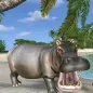Wild Hippo Beach Simulator