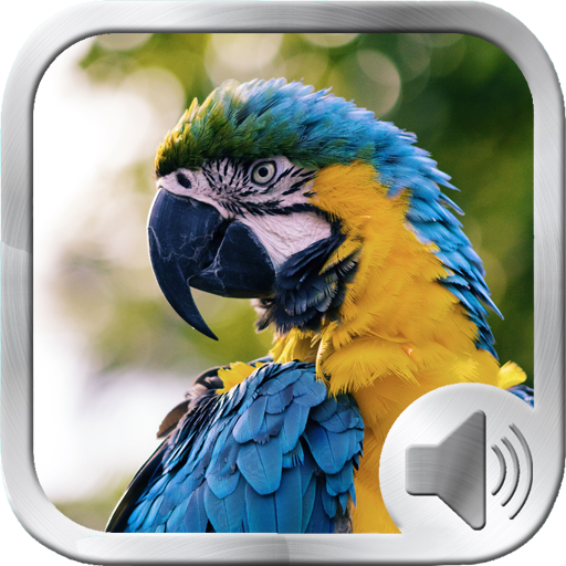 Birds Sounds Ringtones