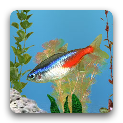 aniPet Freshwater Live WP