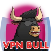 VPN ANONYMOUS BULL