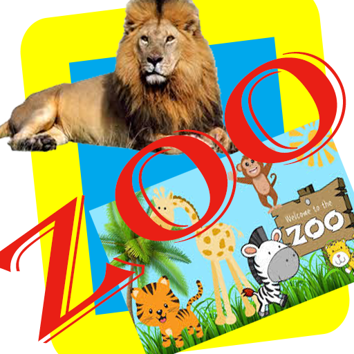 ZOO ANIMALS LIVE VIDEOS