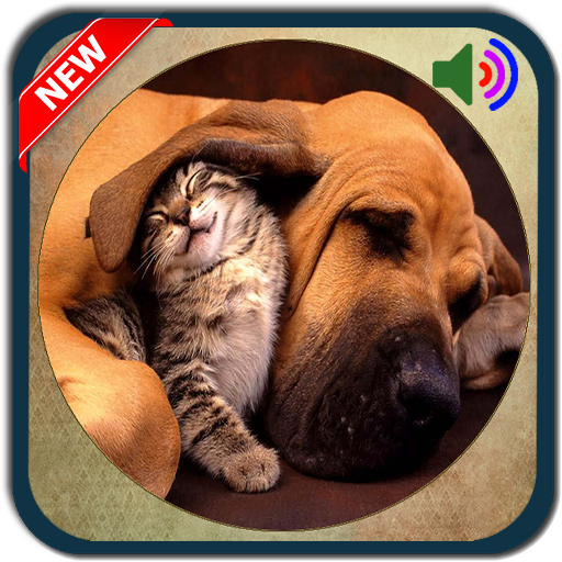 Cat & Dog Sound Ringtones