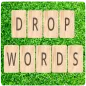 Drop Words