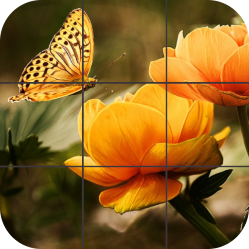 Butterfly Jigsaw Puzzles