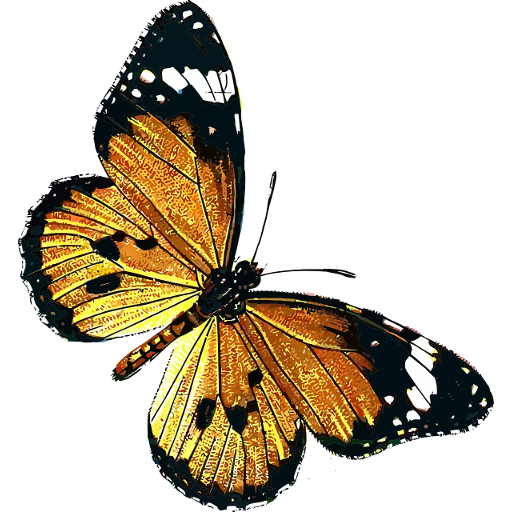 Butterflies