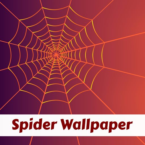 Spider Wallpaper Man Hero HD