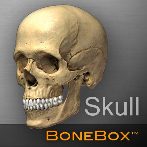 BoneBox™ - Skull Viewer