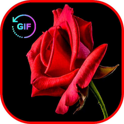 Lovely Flowers Romantic Gif