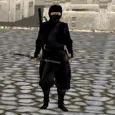 ninja Guerreiro
