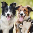 Dogs & Cats Puzzles for kids