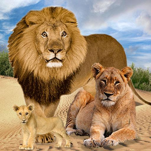 Gia đình sư tử rừng