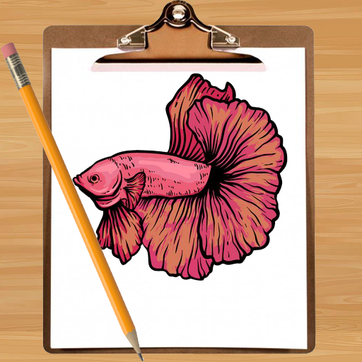 How to Draw Betta Fish Easy