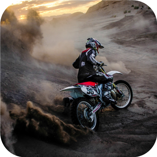 Freestyle Motocross. Wallpaper