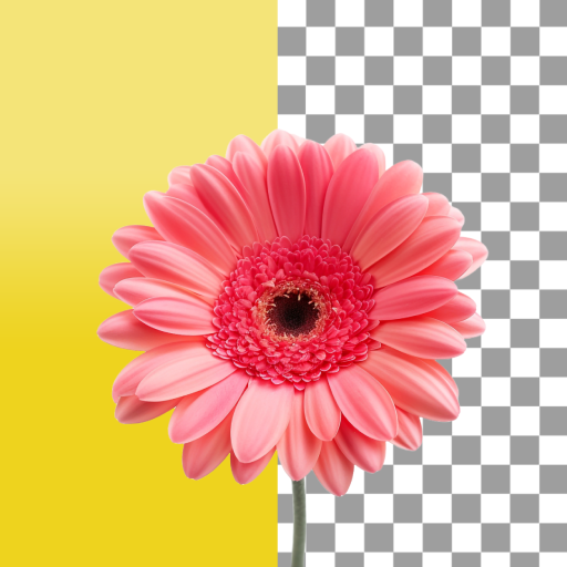 Background Remover - Bg Eraser