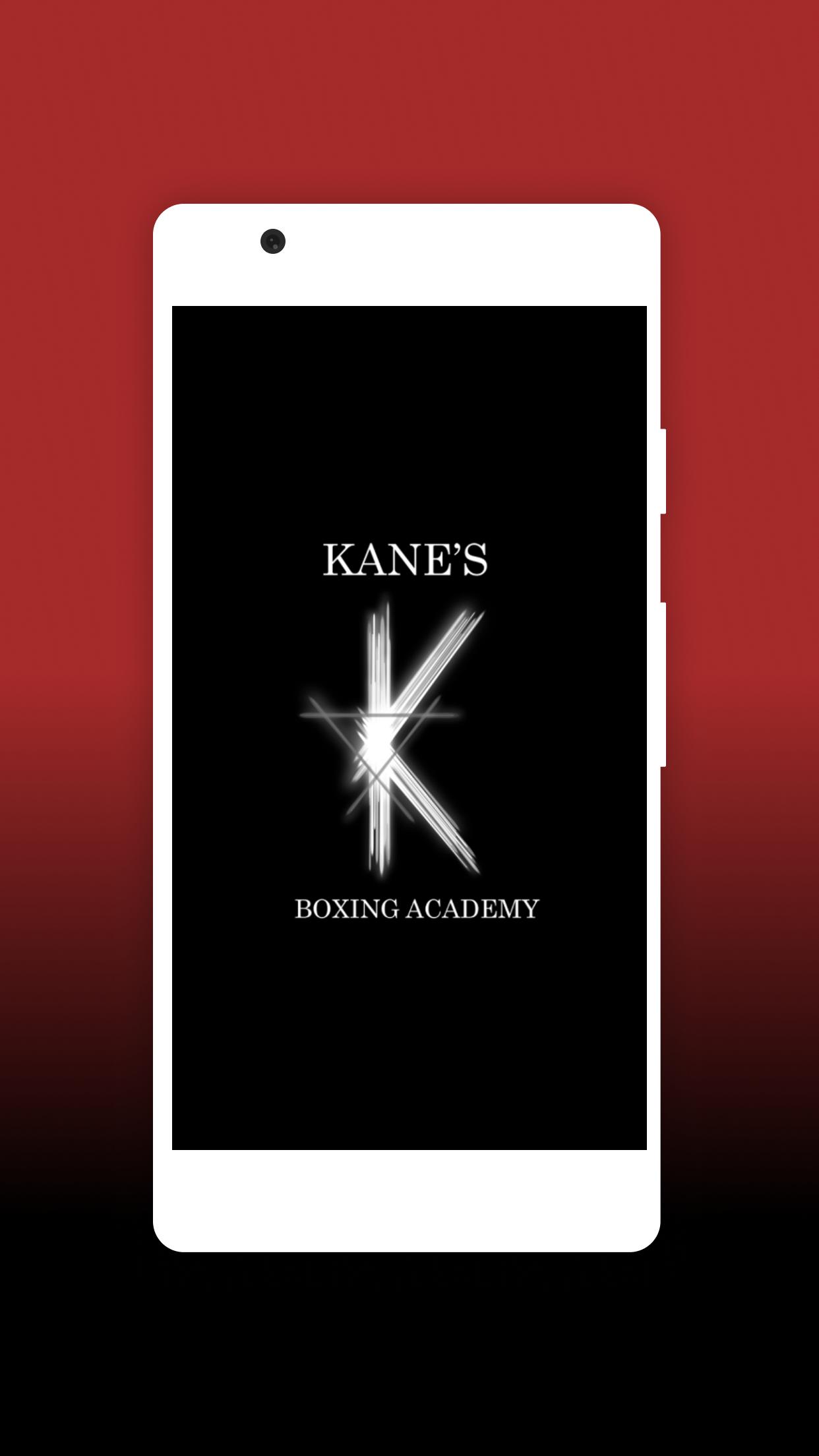 Download Kanes Boxing Academy android on PC