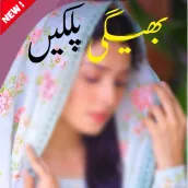 Bheegi palkein Romantic Novel