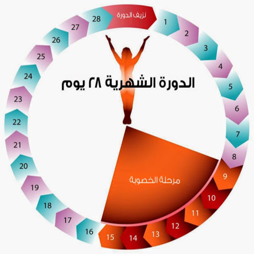 كيفية حساب الدورة الشهرية