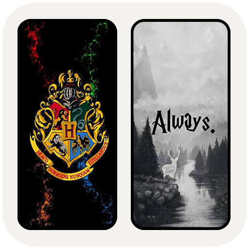 +999 Potter H Wallpapers HD 4k