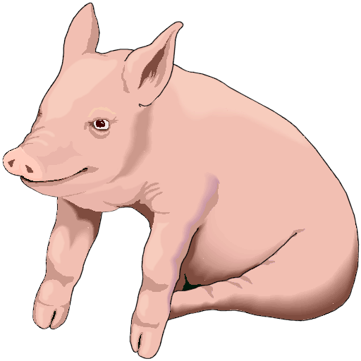 Pig Auction Calculator