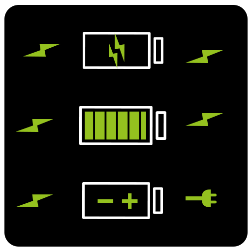 speedy Battery Charger