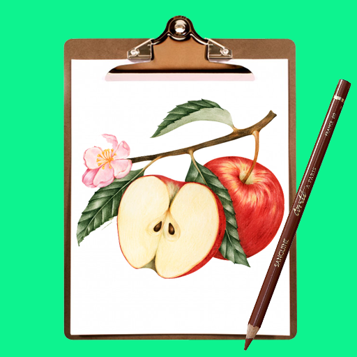 Как поэтапно рисовать фрукты