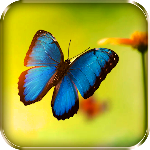 Butterflies Live Wallpaper