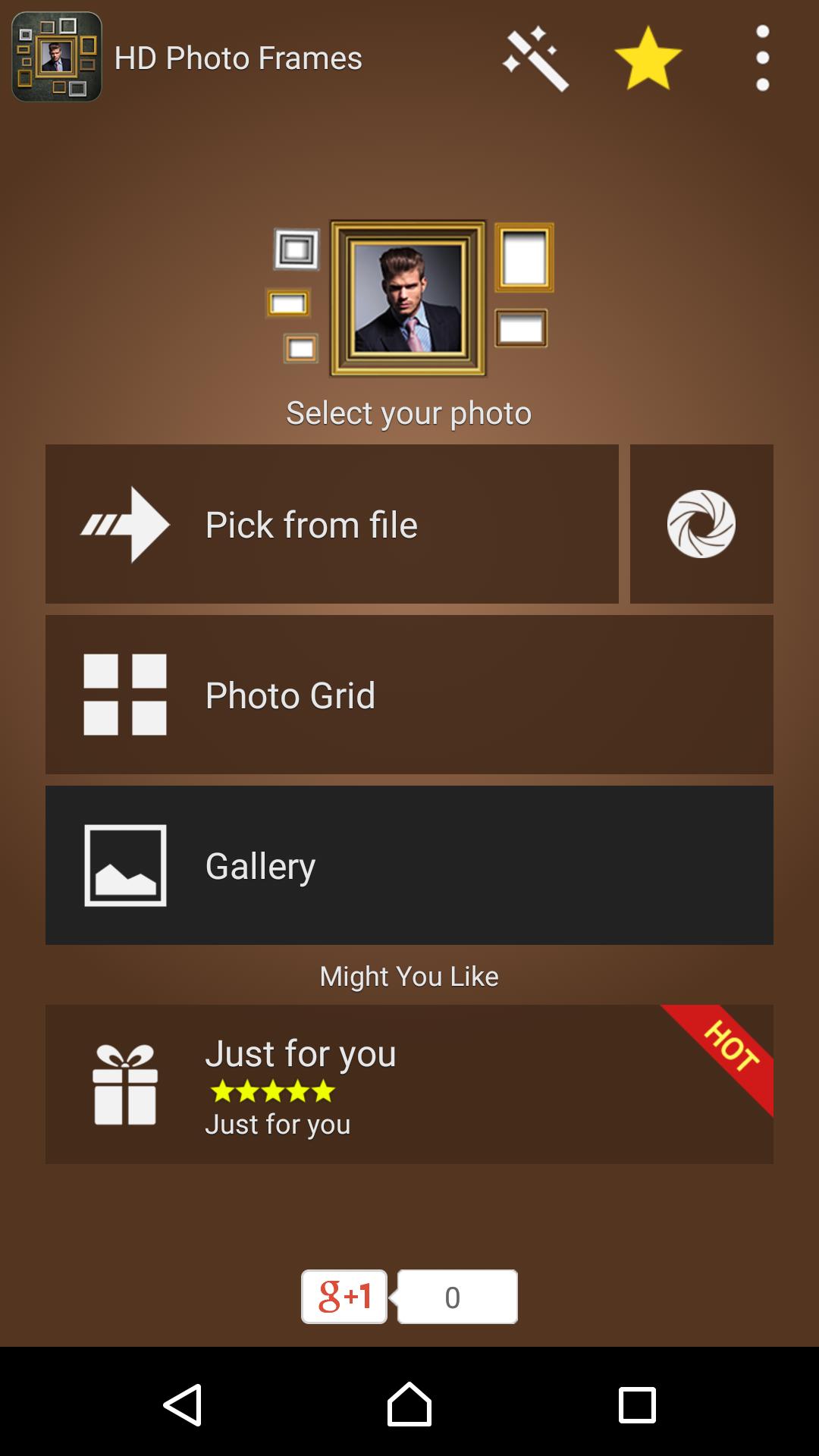 gallery